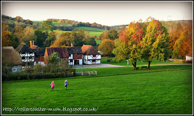 running down hill - Weald and Downland Open Air Museum