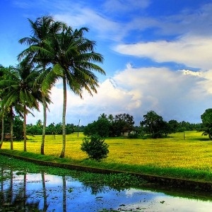 Kumarakom
