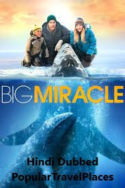 Big Miracle (2012)