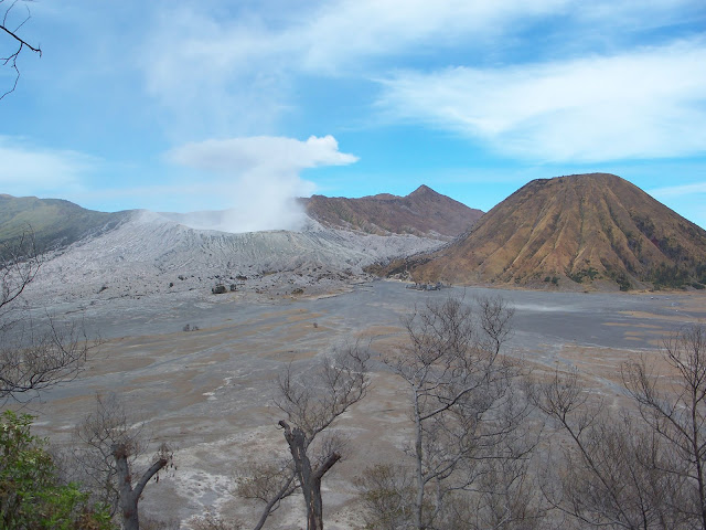 PAKET WISATA GUNUNG BROMO