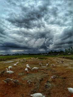 Picture of Amazon clouds - Bangladesh beautiful Rainy Season weather