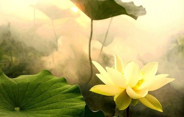 clip_image005[4]