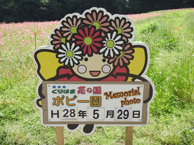 くりはま花の国