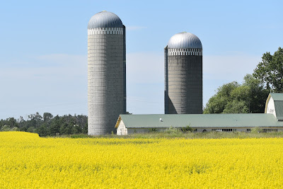 Alberta farm near Trans Canada Trail.