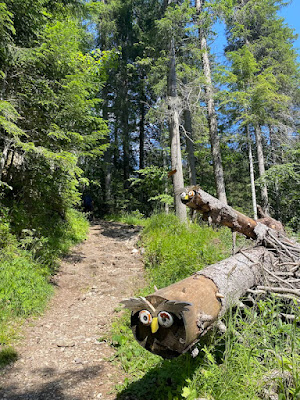 Escursione a Rifugio Lunelli