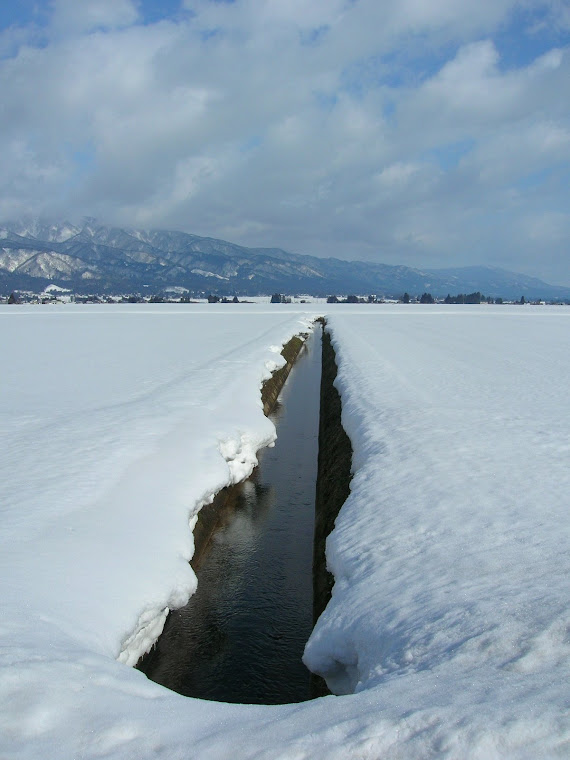 Yamagata!