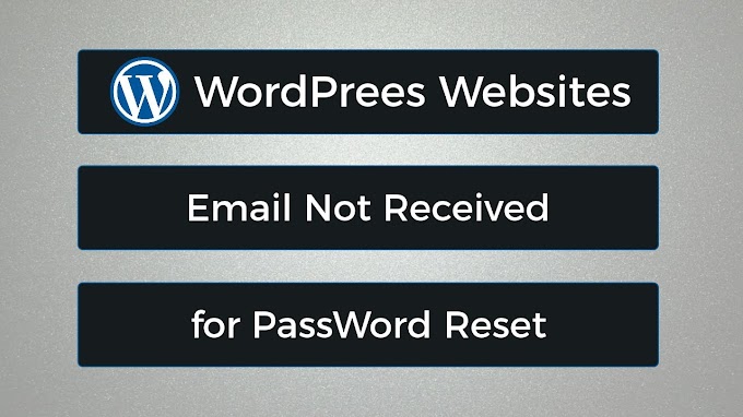 Email Not Received for Passwords Reset in WordPress Websites