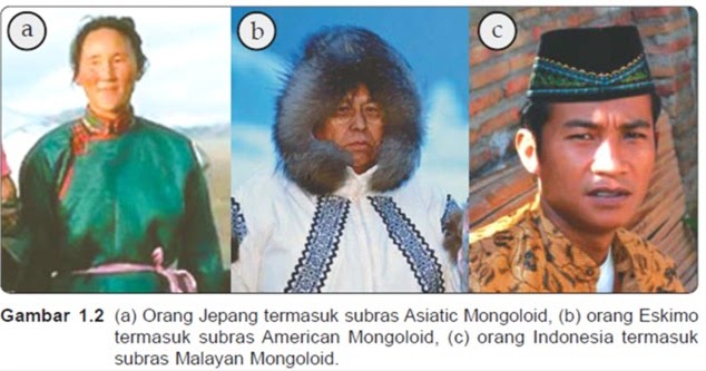 Pengertian Diferensiasi Sosial | Contoh Kumpulan Makalah Dan Buah ...