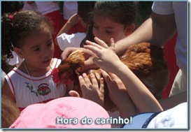 07-carinho-animais-sitio-creche-escola-ladybug-recreio
