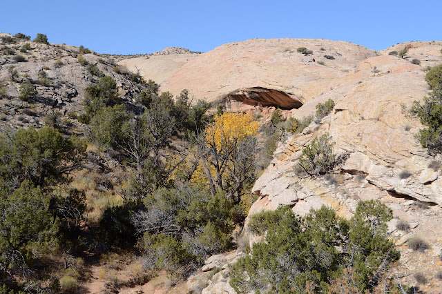 fall color and caves in the side of the little canyon