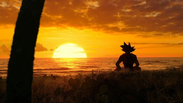 Goku Sunset Wallpaper