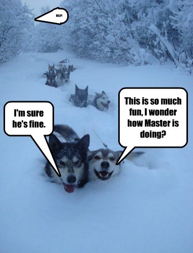 masterledding.jpg