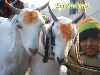 Eid ul Adha Greetings, Bakra Eid Wishes Greeting Cards 