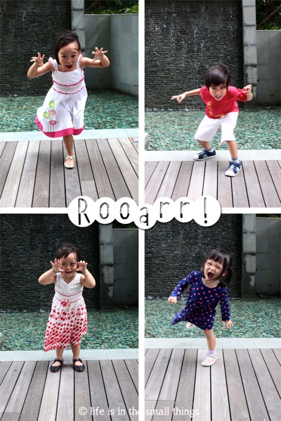 Roar2