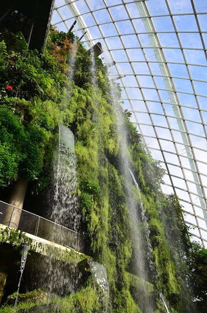 Las Deszczowy - Cloud Forest Dome - Singapur