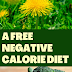 A Free Negative Calorie Diet - Weightloss tips