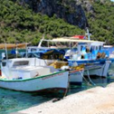 Προβολή άλμπουμ