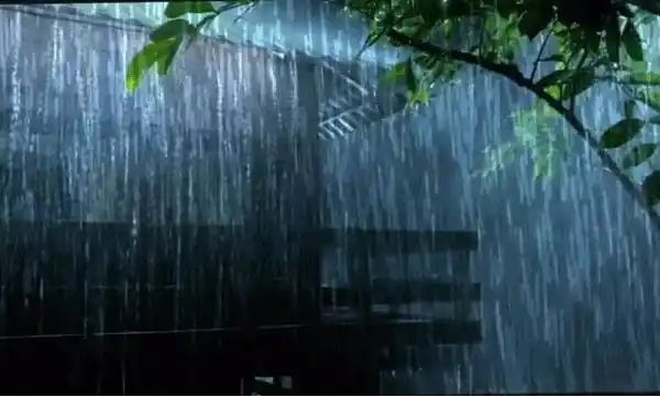 പെയ്ത്ത് തുടരും: ഇന്ന് വടക്കന്‍ ജില്ലകളില്‍ കനത്ത മഴ, അഞ്ചുജില്ലകളില്‍ യെല്ലോ അലര്‍ട്ട്; ശക്തമായ  കാറ്റ്, കടലില്‍ പോകരുത്,