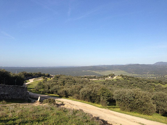 Unas fotos de nuestra ruta de Tres Cantos a Las Matas - Abril 2013