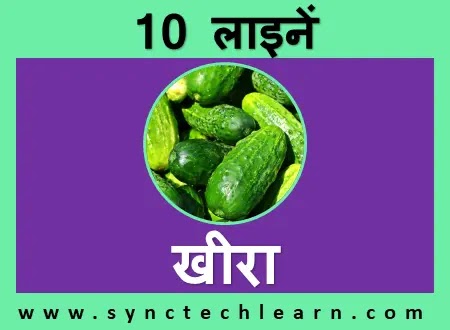 short nibandh cucumber in hindi
