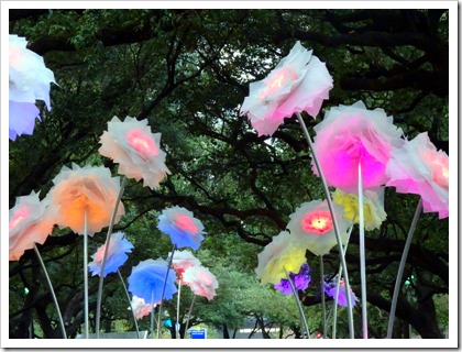 Enchanted Promende