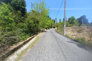 きつい登り道