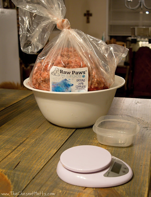 Prepping the raw food for dogs and cats