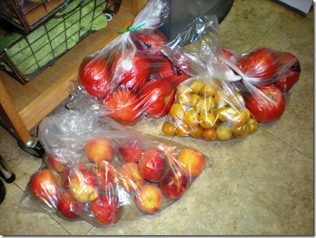 Spoils from the farm share: peaches and maribelle plums as well as some tomatoes.