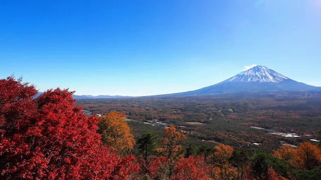 河口湖から西湖を周って紅葉台へ。本栖湖から本栖みちを下り四尾連湖へ上り返す。笛吹川から荒川沿いの自転車道に入り甲府まで走るサイクリングコース