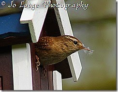 IMG_0144