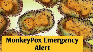 Emergency Alert Declared By WHO Due To Monkeypox Spread