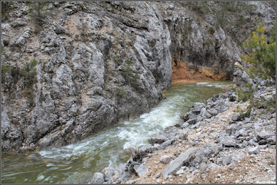 El río Tajo a la altura de Valdeminguete