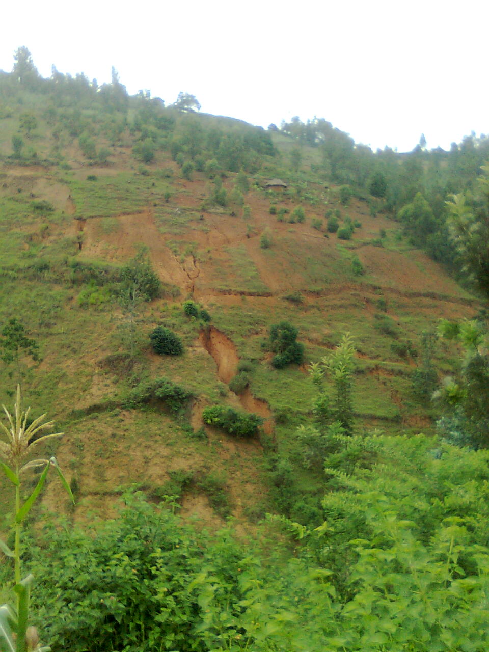 https://blogger.googleusercontent.com/img/b/R29vZ2xl/AVvXsEhD3gS2k7AXsDVkqkdLMumHyPf_86-XpbEO2vnjanGNaPEkB2g4THzEf3CQhDLY54A2iSyBf7ORc5RksV4HbNlRV7yk3RIktkwiB3LoHqQ3GbK3XQlFm0jcJ60kzT2SfYReXO_qjzvwe4o/s1600/Burundi+jan+20110119.jpg