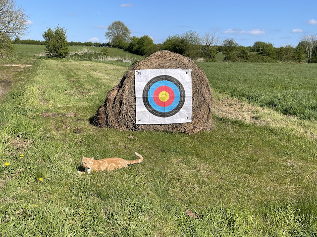 Hay bale with target