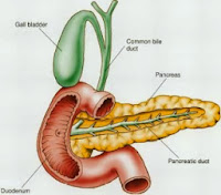 Obat Pankreas Untuk Anak Yang Alami Dan Aman