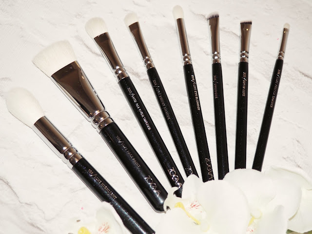 Zoeva Brush Review