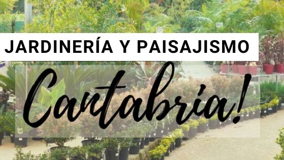 Comprar plantas online en Cantabria