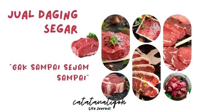 jual daging segar cepat