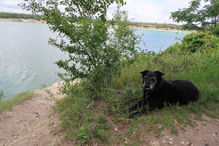 Tongues out by Lake Georgetown while we took a little break 