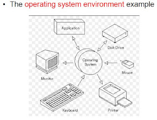 System Environment