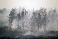 Indonesian officers put out forest fires in a village in Central Kalimantan province in September 2015. (Credit: Bagus Indahono/European Pressphoto Agency) Click to Enlarge.