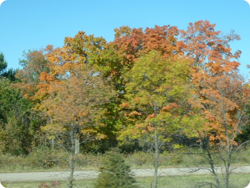 Minnesota to Iowa 025