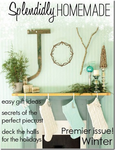 winterl 2011 cover_thumb[1]