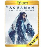 AQUAMAN Y EL REINO PERDIDO (2023) BDREMUX 2160P HDR MKV ESPAÑOL LATINO