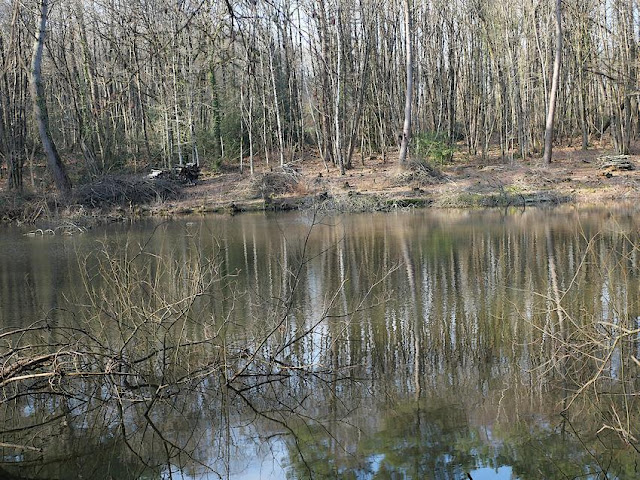 Les étangs près de la fontaine de Bivaux, à Langon