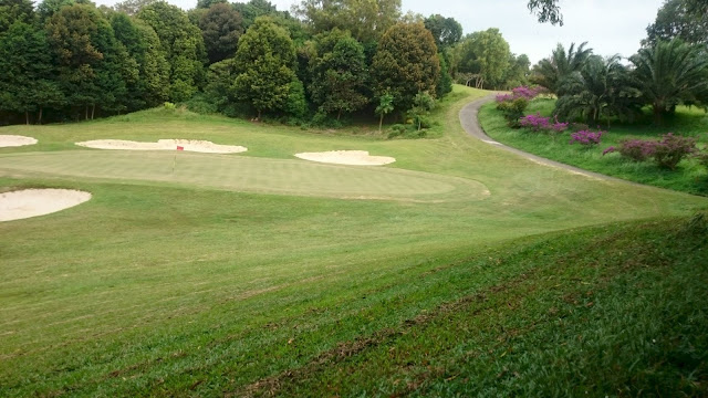 Beautiful flower and green golf court - Image: Author