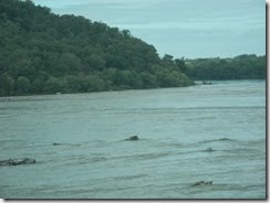 DSCN1082