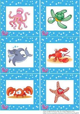 sea animals flashcards for teaching english