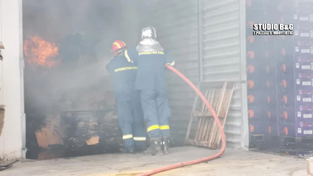 Αργολίδα: Μεγάλες ζημιές προκάλεσε η φωτιά σε εργοστάσιο στο Παναρίτι (βίντεο)