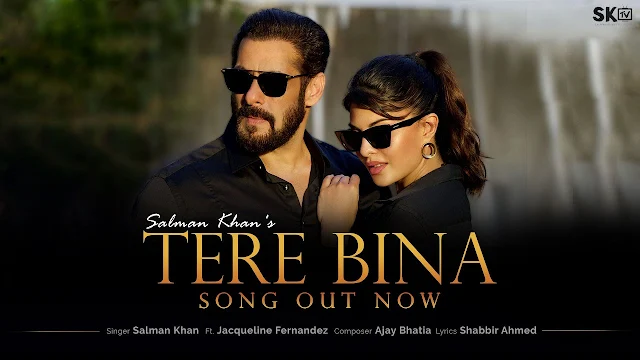 Tere Bina lyrics in English